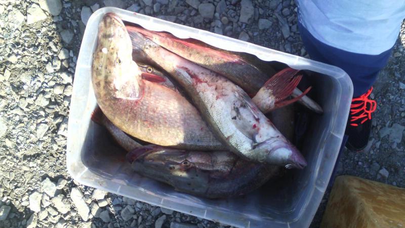 Прикрепленное изображение