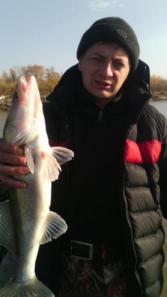 Прикрепленное изображение