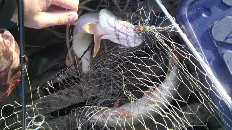 Прикрепленное изображение