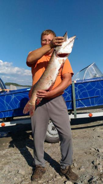 Прикрепленное изображение