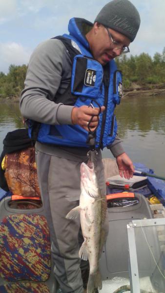 Прикрепленное изображение