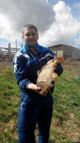 Прикрепленное изображение