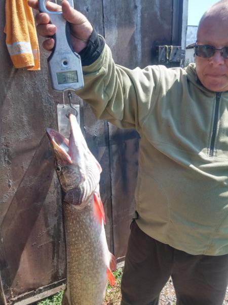 Прикрепленное изображение