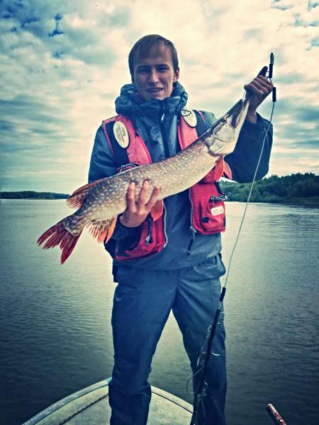 Прикрепленное изображение