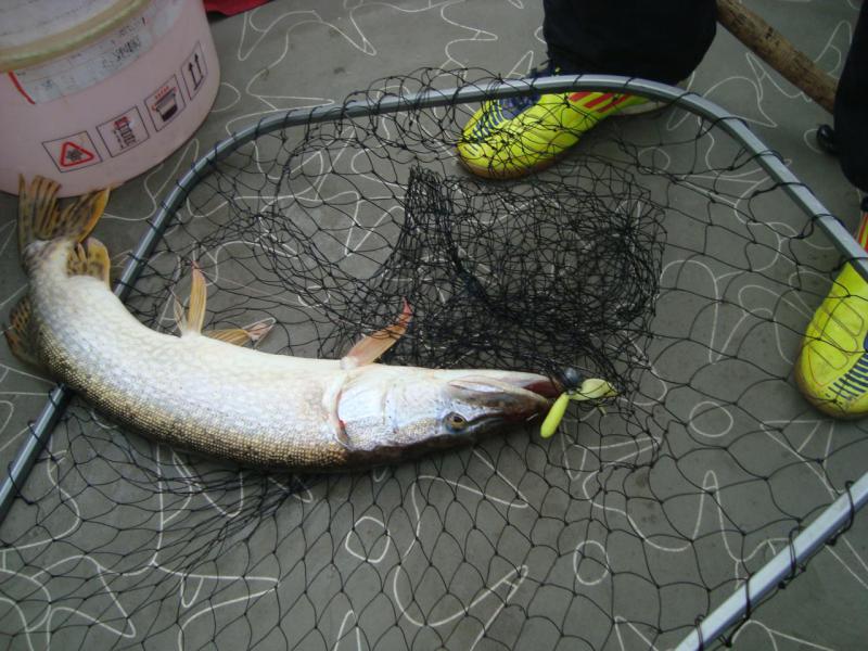 Прикрепленное изображение