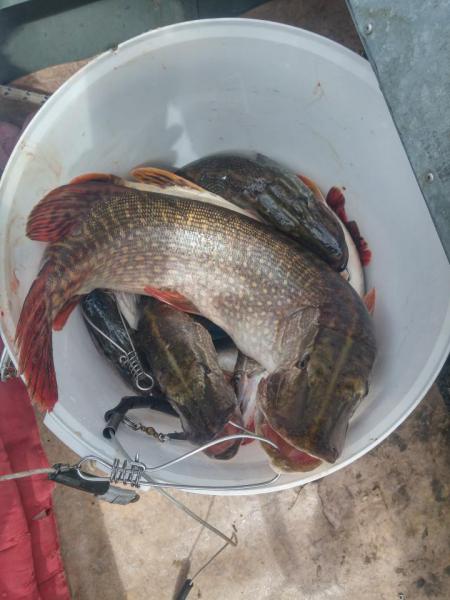 Прикрепленное изображение