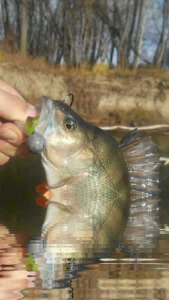 Прикрепленное изображение