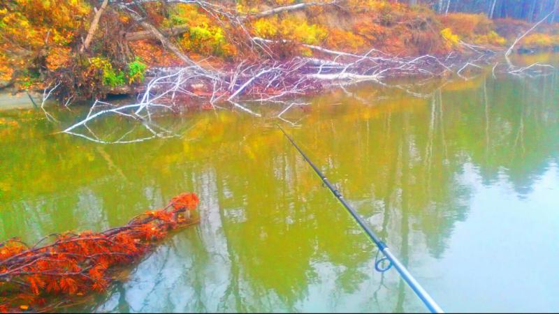 Прикрепленное изображение