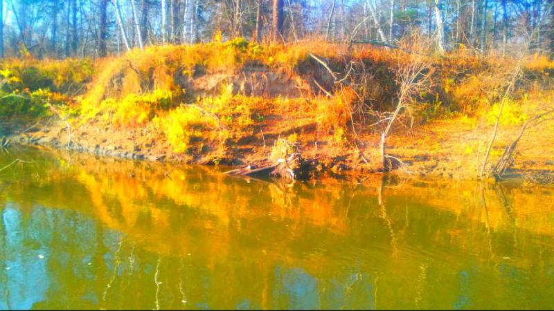 Прикрепленное изображение