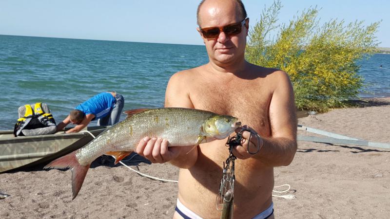 Прикрепленное изображение