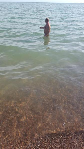 Прикрепленное изображение