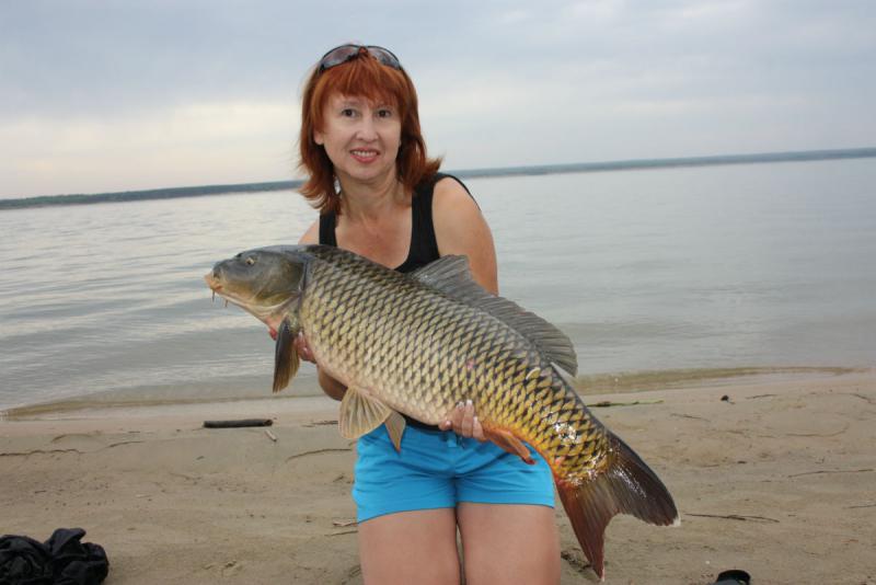 Прикрепленное изображение