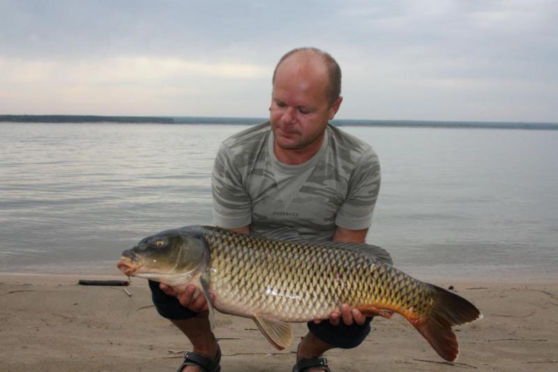 Прикрепленное изображение