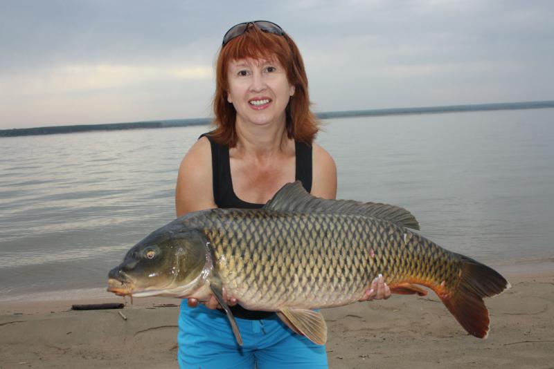 Прикрепленное изображение