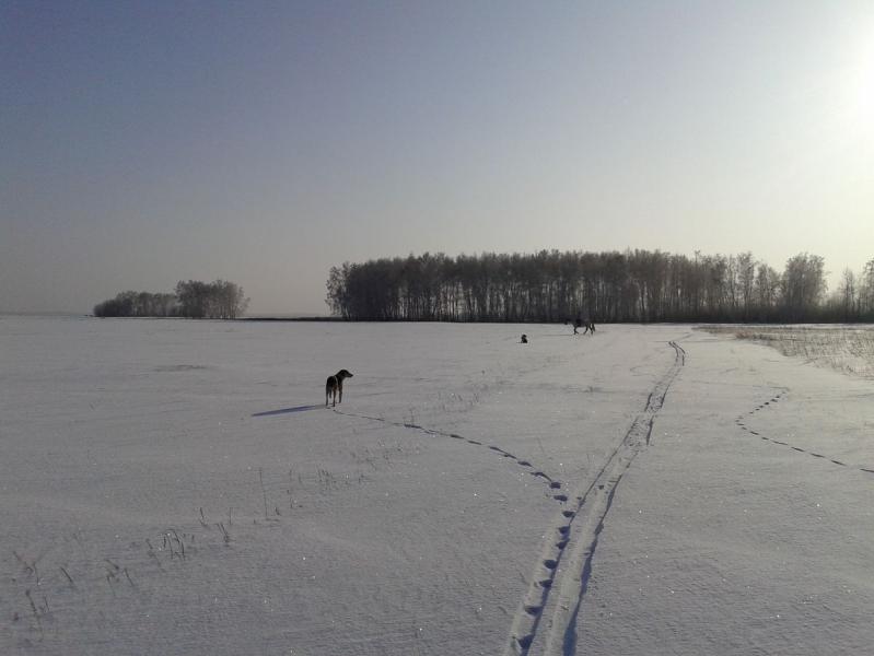 Прикрепленное изображение