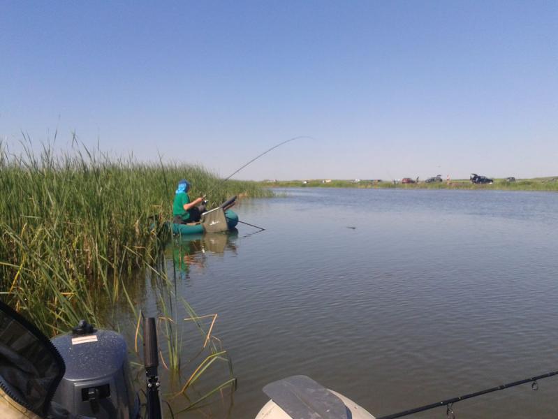 Прикрепленное изображение