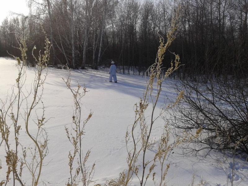 Прикрепленное изображение