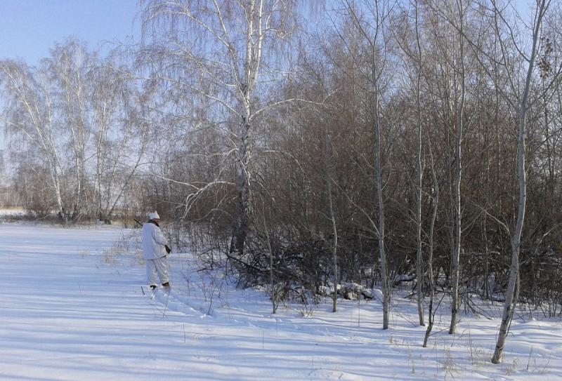 Прикрепленное изображение