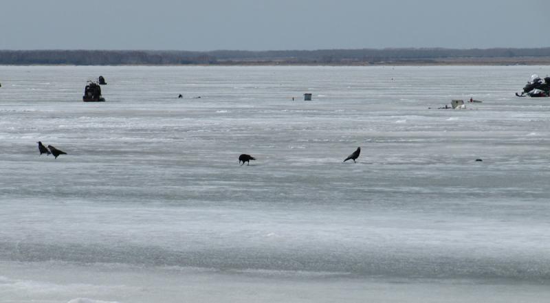 Прикрепленное изображение