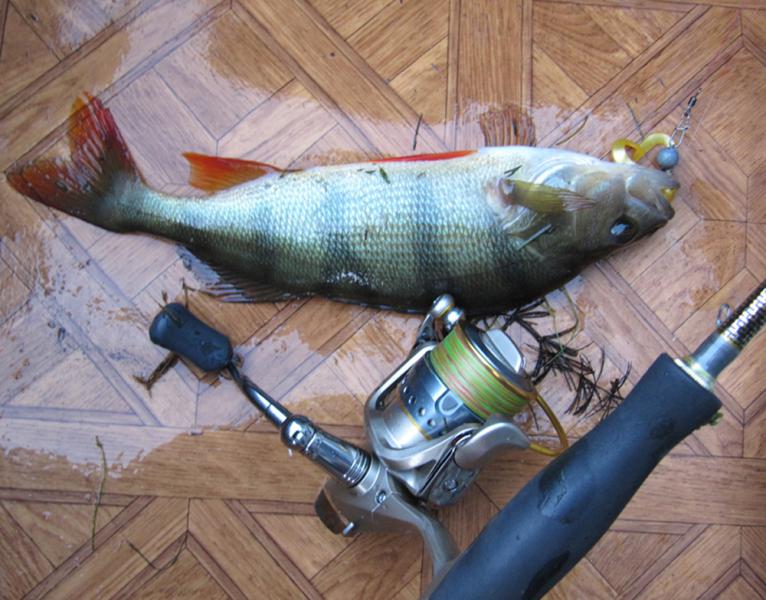 Прикрепленное изображение