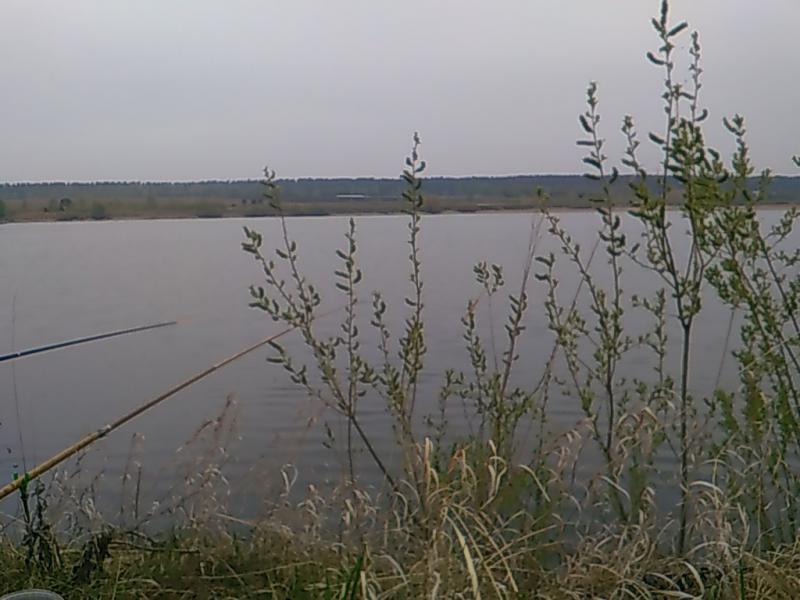 Прикрепленное изображение