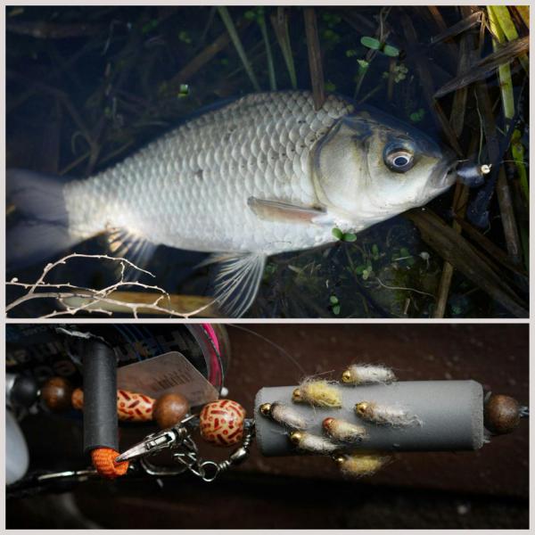 Прикрепленное изображение