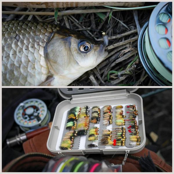 Прикрепленное изображение