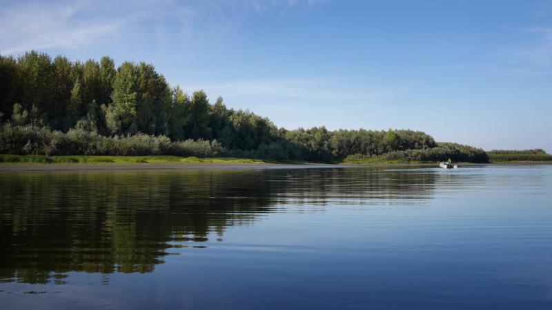 Прикрепленное изображение