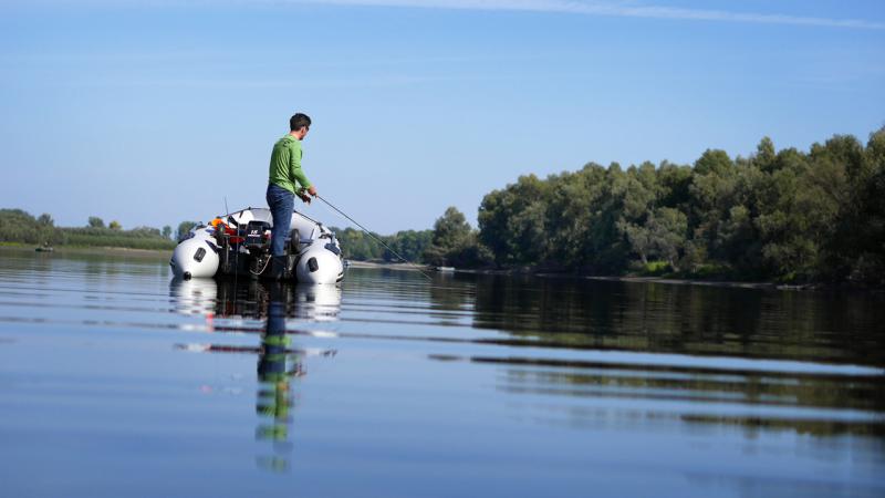 Прикрепленное изображение