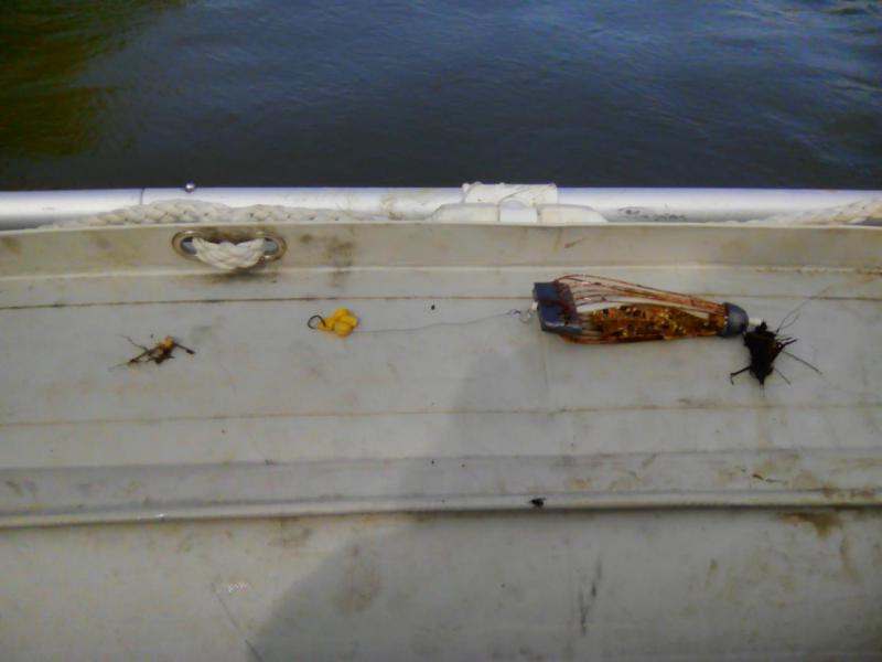 Прикрепленное изображение