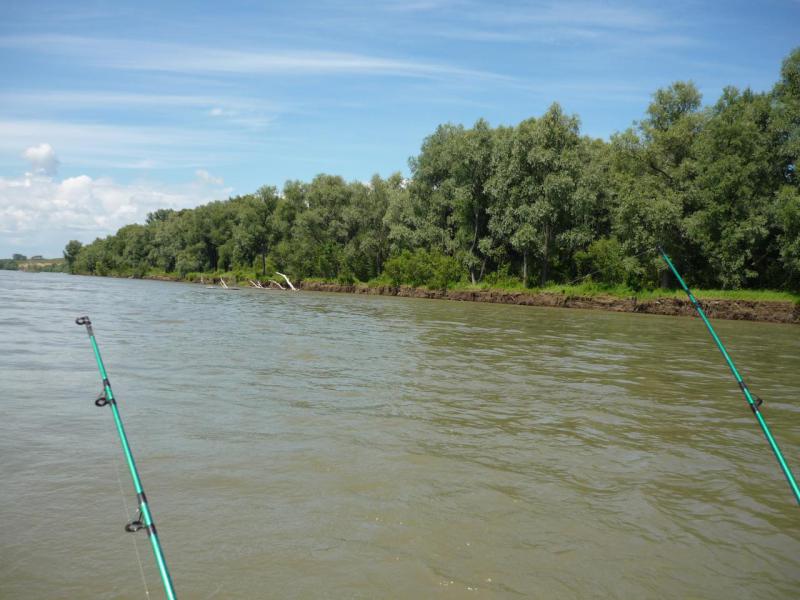 Прикрепленное изображение