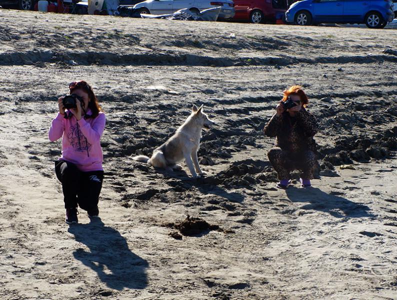 Прикрепленное изображение