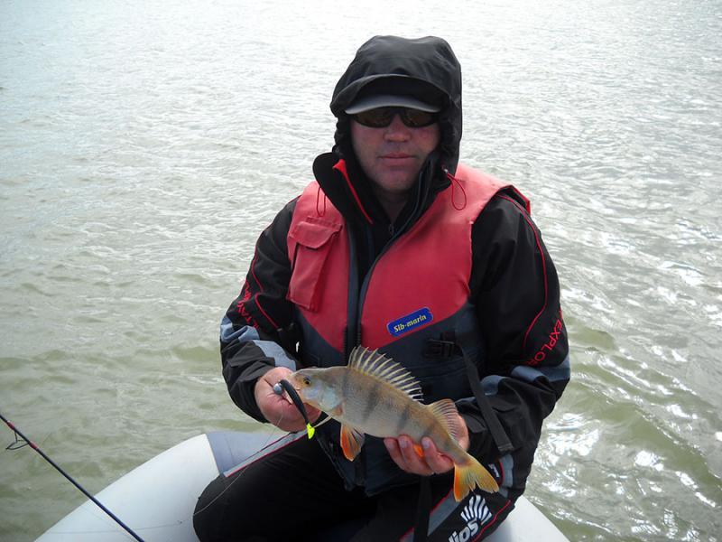 Прикрепленное изображение