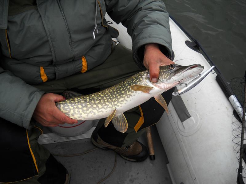 Прикрепленное изображение