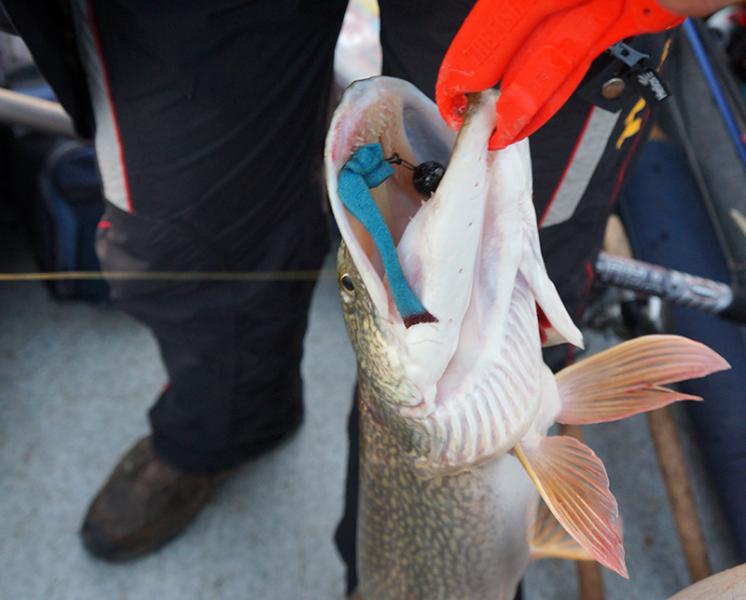 Прикрепленное изображение