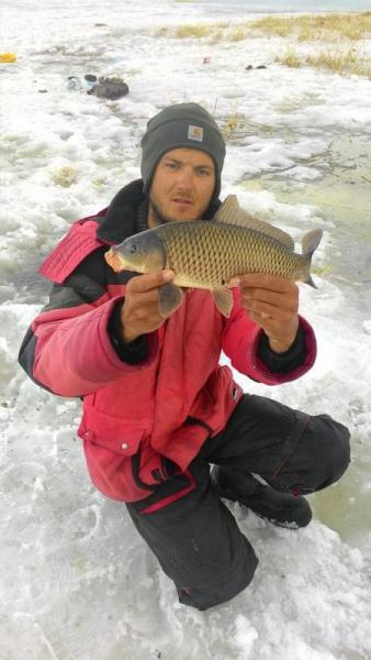 Прикрепленное изображение