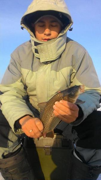 Прикрепленное изображение