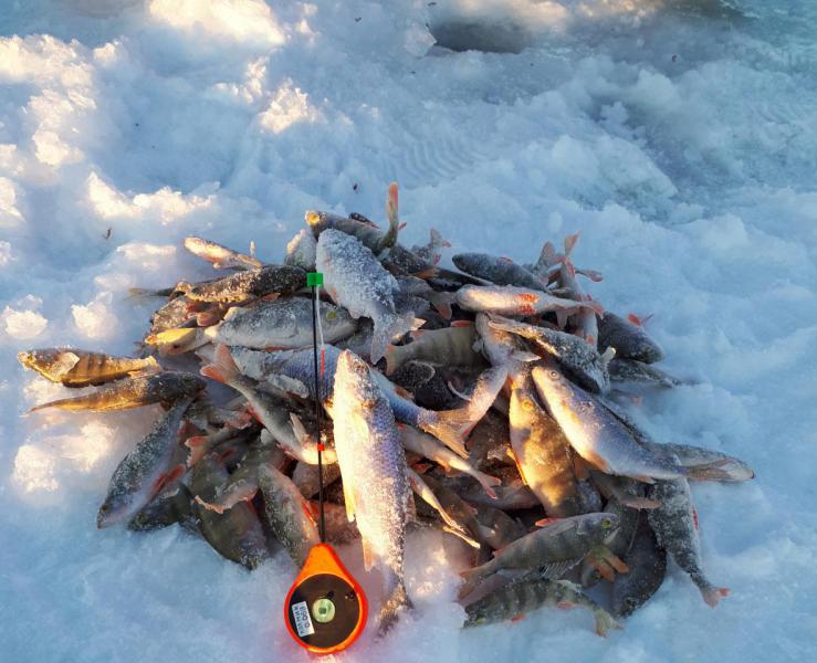 Прикрепленное изображение