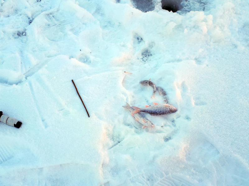 Прикрепленное изображение