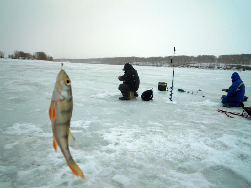Прикрепленное изображение
