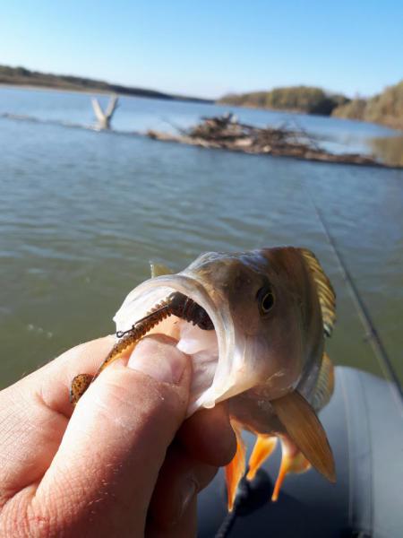 Прикрепленное изображение