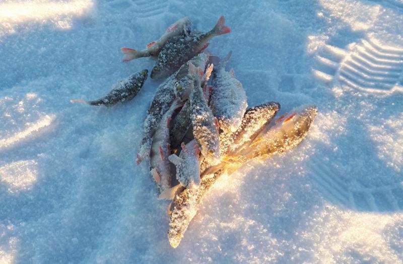 Прикрепленное изображение