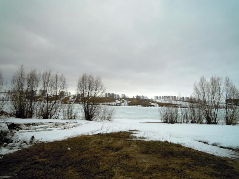 Прикрепленное изображение