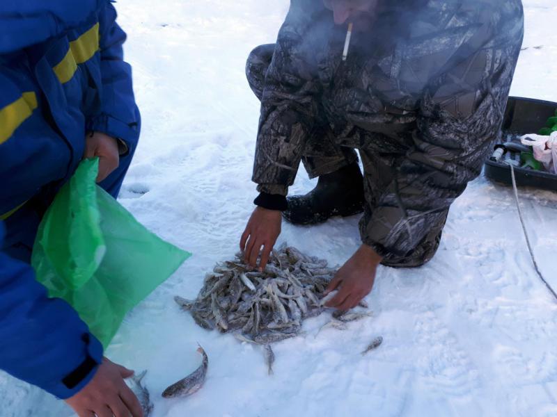 Прикрепленное изображение