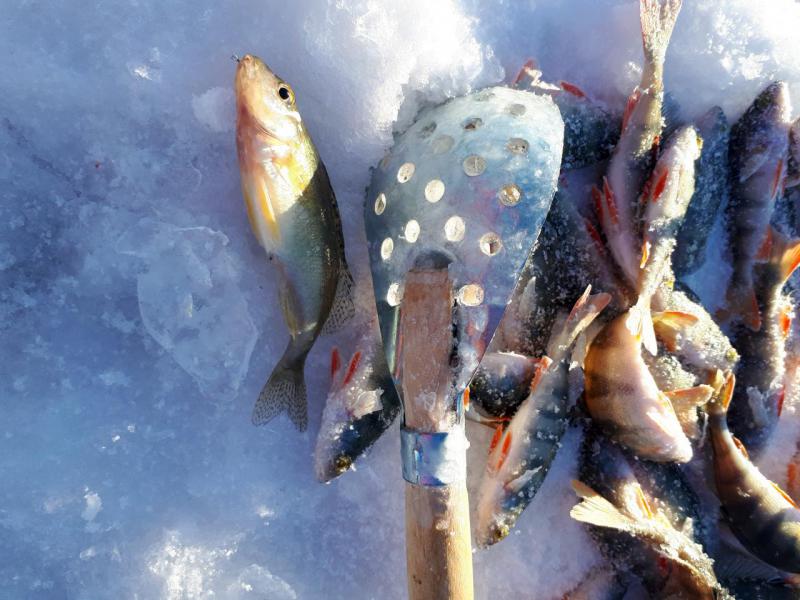 Прикрепленное изображение