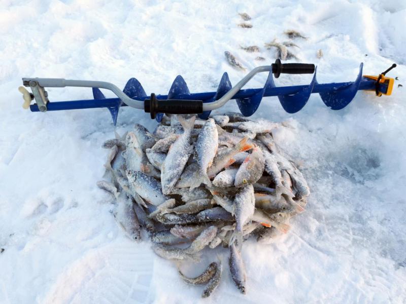 Прикрепленное изображение