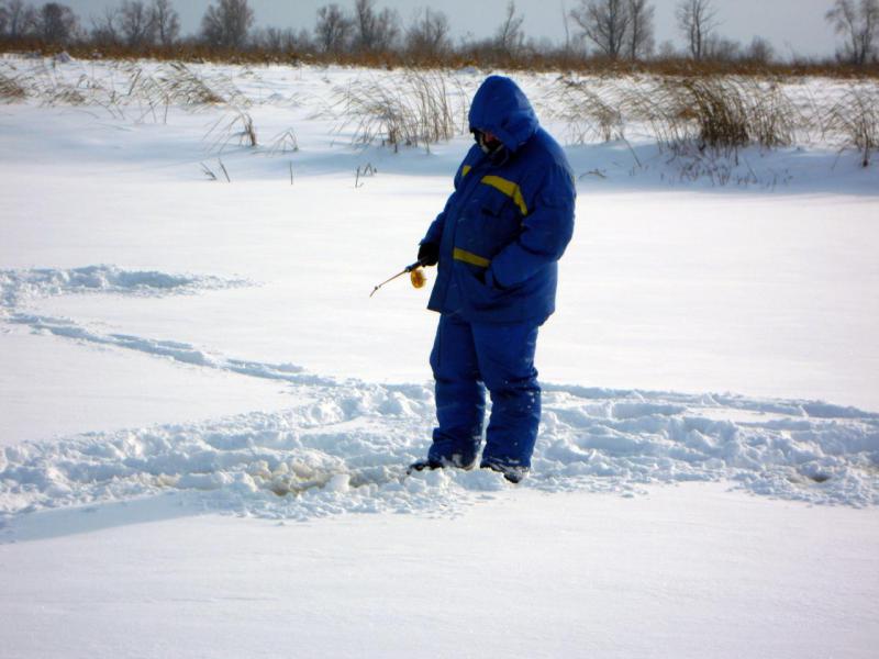 Прикрепленное изображение
