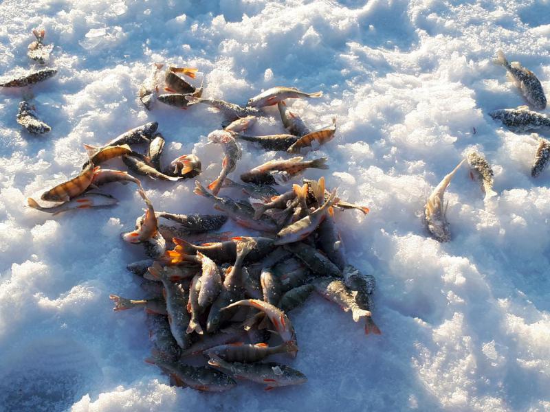 Прикрепленное изображение