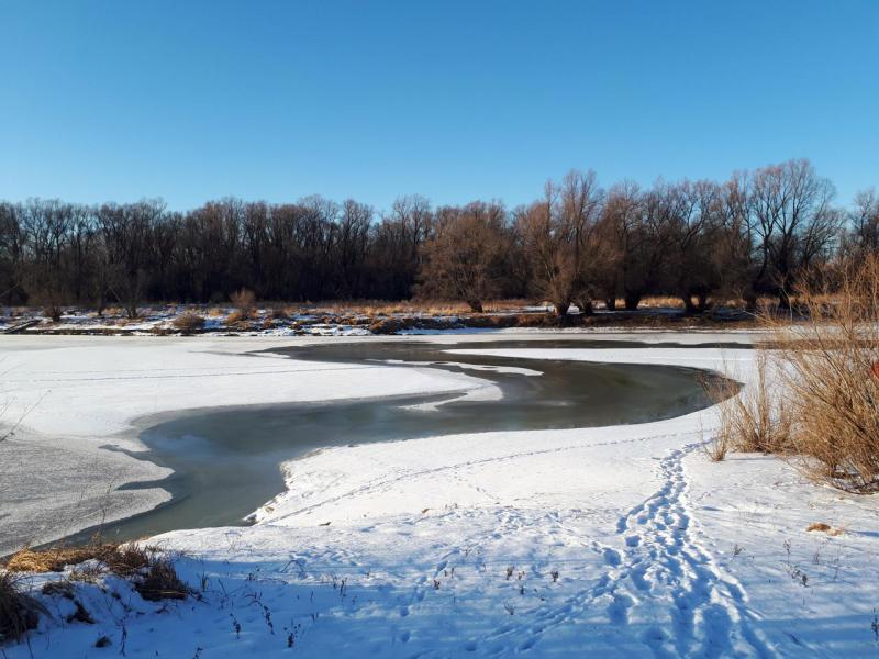 Прикрепленное изображение