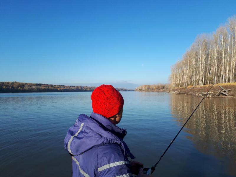 Прикрепленное изображение